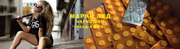 сатива Алексин