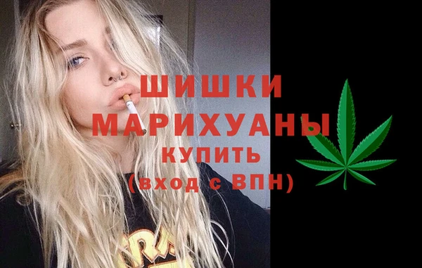 сатива Алексин